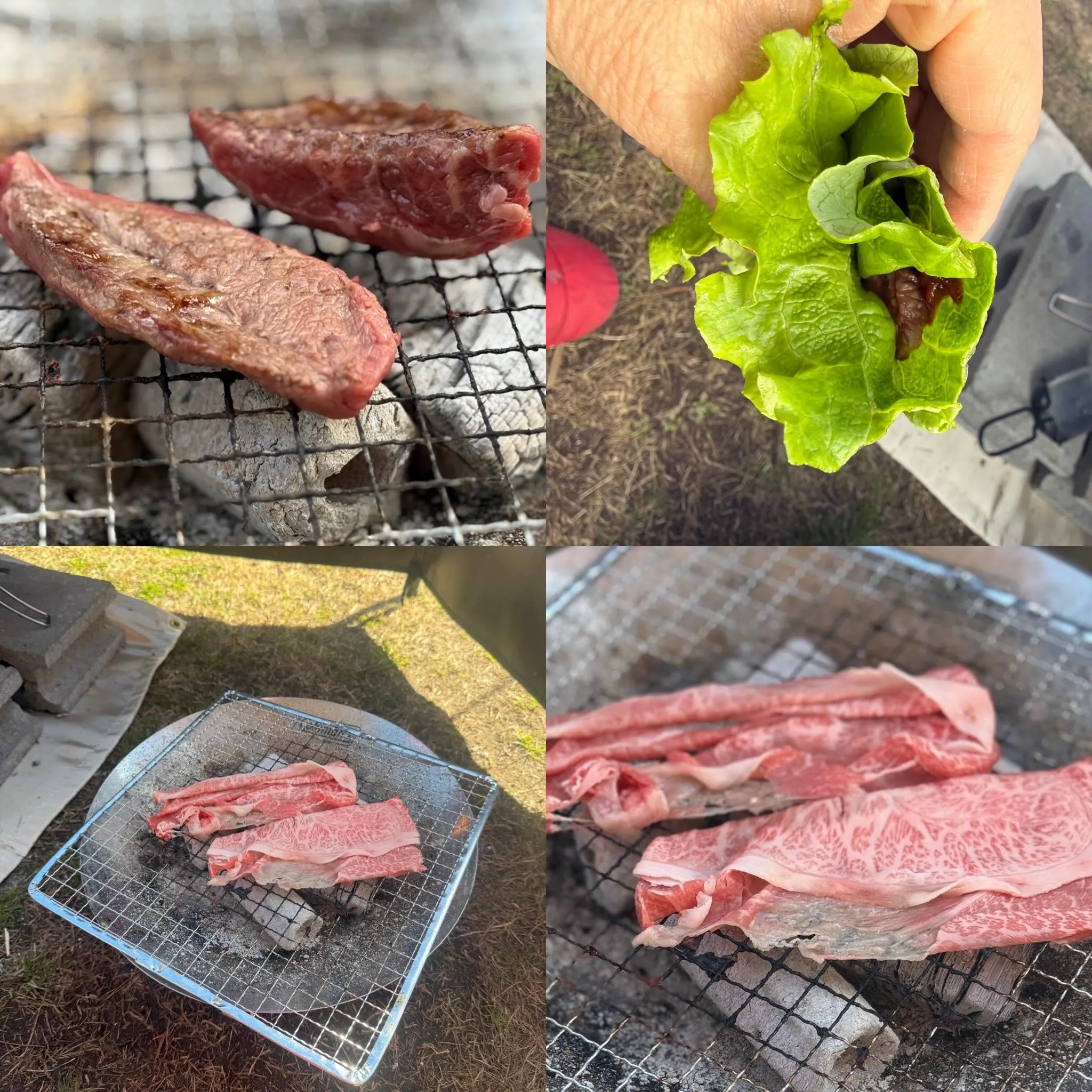 GWの思い出に🌿