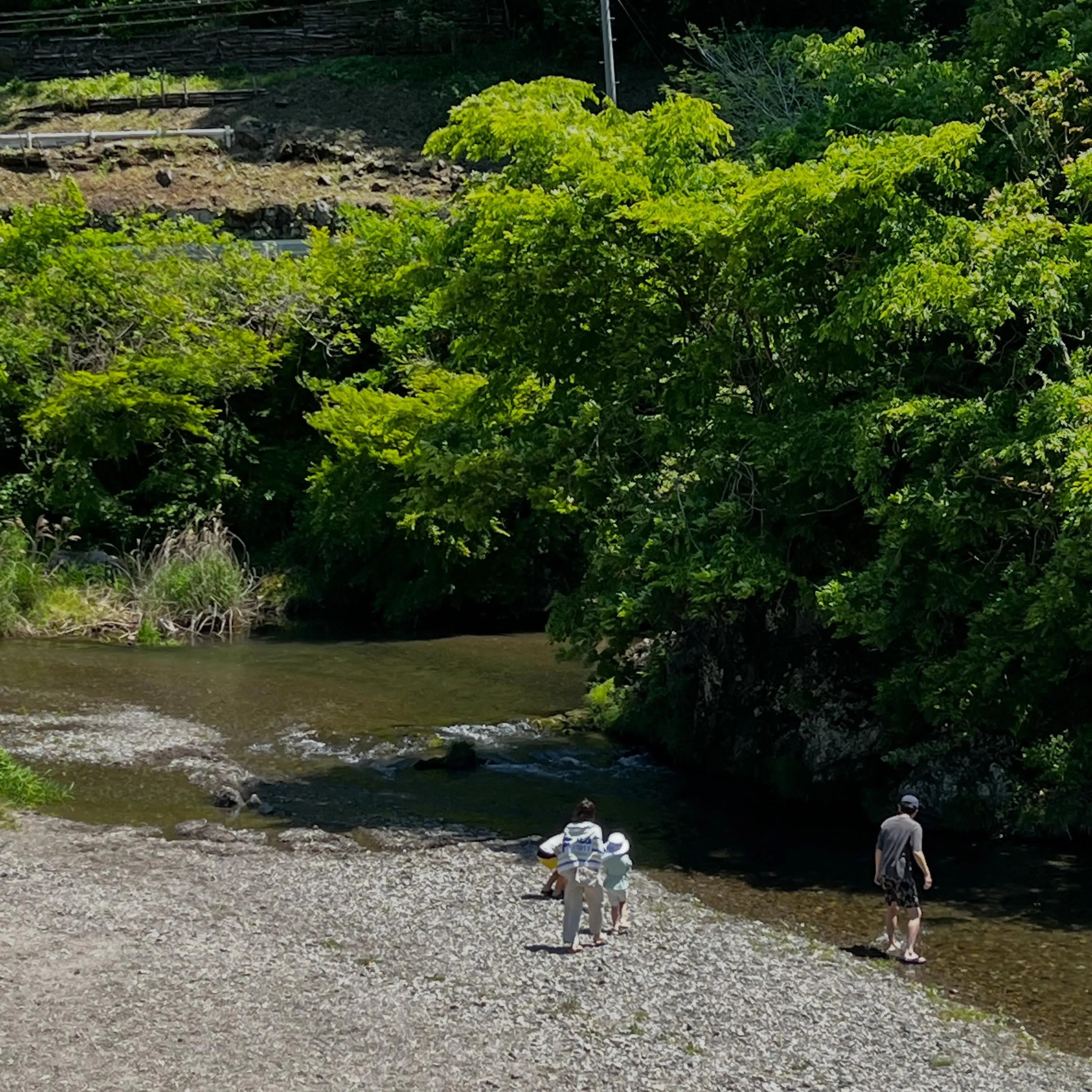 GWの思い出に🌿